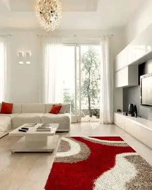 Shaggy Rug, Brown Red Color