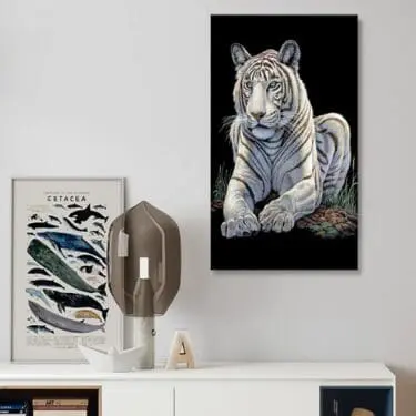 Blue Eye White Tiger