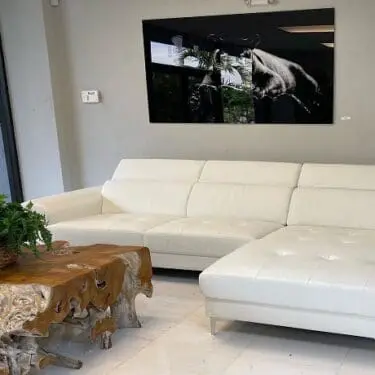 Lloris White Sectional
