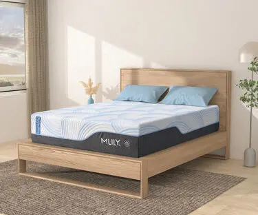 WellFlex ICE 1.0 Firmer