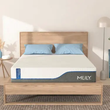 WellFlex 3.0 Plusher