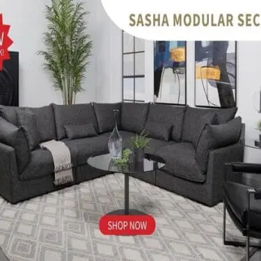 Sasha Modular Sectional Barely Black