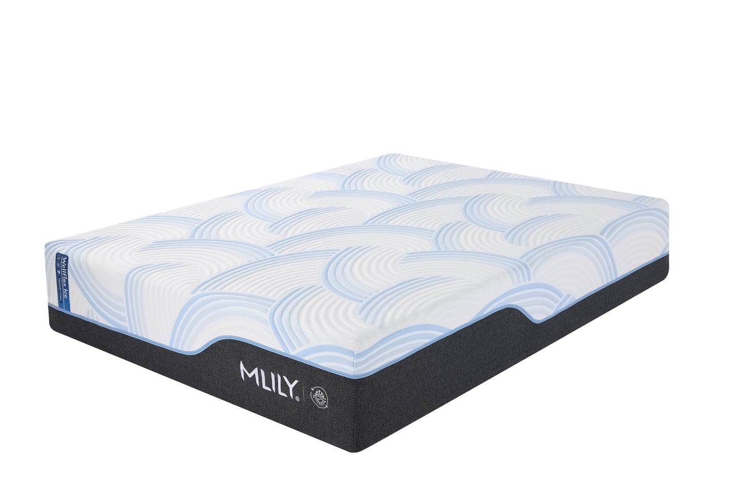 WellFlex ICE 1.0 Firmer - Image 5